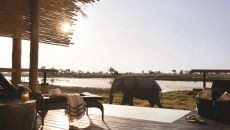 See more information about Eagle Island Lodge, A Belmond Safari, Botswana Balcony with elephant