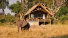 Elephant at Eagle Island Lodge