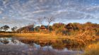 water reflections at Savute Elephant Camp