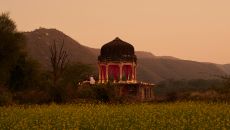 Experience Chhatri Dinner Amanbagh 2024
