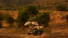 Experience, Safari Aman i Khas 2024