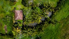 Amangalla, Sri Lanka resort drone shot 1 28155 Amangalla 2024