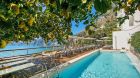 outdoor pool, lemon tree