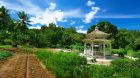 Organic Farm