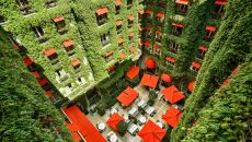See more information about Hôtel Plaza Athénée Paris La Cour Jardin restaurant view