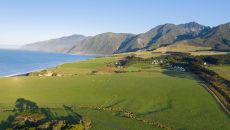 Property Aerial at Wharekauhau