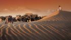 camels sunrise exterior