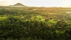 Aerial view of rice paddies in Ubud COMO Uma Ubud