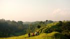 biking through rice fields