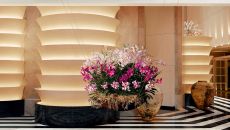 lobby floating orchid