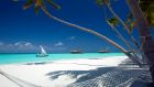 Palm Beach with Hammock Gili Lankanfushi Maldives