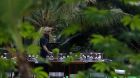 Alila Ubud Alila Experiences Destination Dining