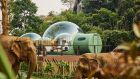 Jungle Bubbles Leisure at Anantara Golden Triangle Elephant Camp Resort