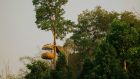 22 Canopy Tree Top Dining at Anantara Golden Triangle Elephant Camp