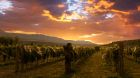 Sutcliffe Vineyards sunset