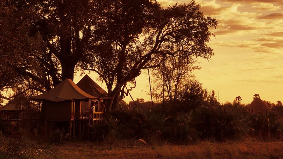 Mombo Camp luxury tented suite exterior in the Okavango Delta Botswana