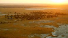 arial view of camp sunset