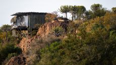 Suite exterior2 Singita Lebombo Lodge