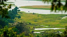 Flood plain at Chobe Chilwero