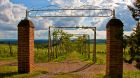vineyards