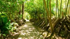Garden path at Seiryuso