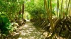 Garden path at Seiryuso