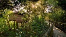  Suite  Exterior  Boardwalk.
