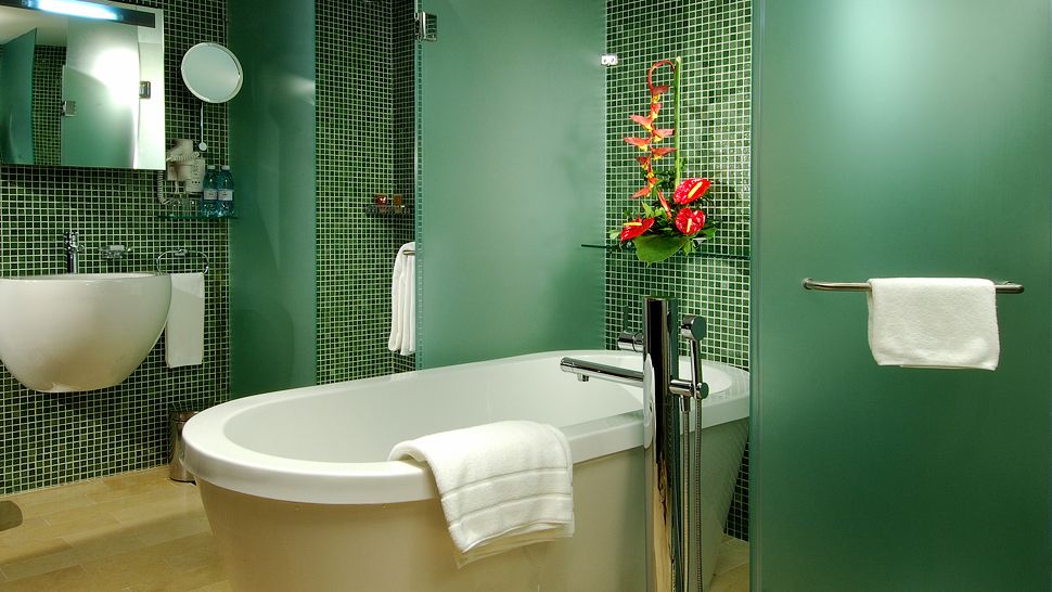 نتیجه تصویری برای ‪green bathroom‬‏