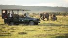 Safari game drive and Beyond Kichwa Tembo 1 and Beyond Kichwa Tembo Camp