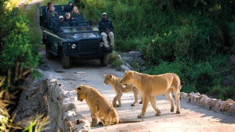 Lion Sands Ivory Lodge Sabi Sand Reserve Mpumalanga