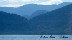  Pousada Picinguaba Caicaras