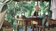 deck overlooking jungle