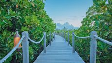 2016 general view 01 hd