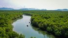 Mangrove Forest Tour Pimalai Resort