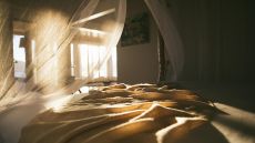 Vonu Point sunlight Turtle Island