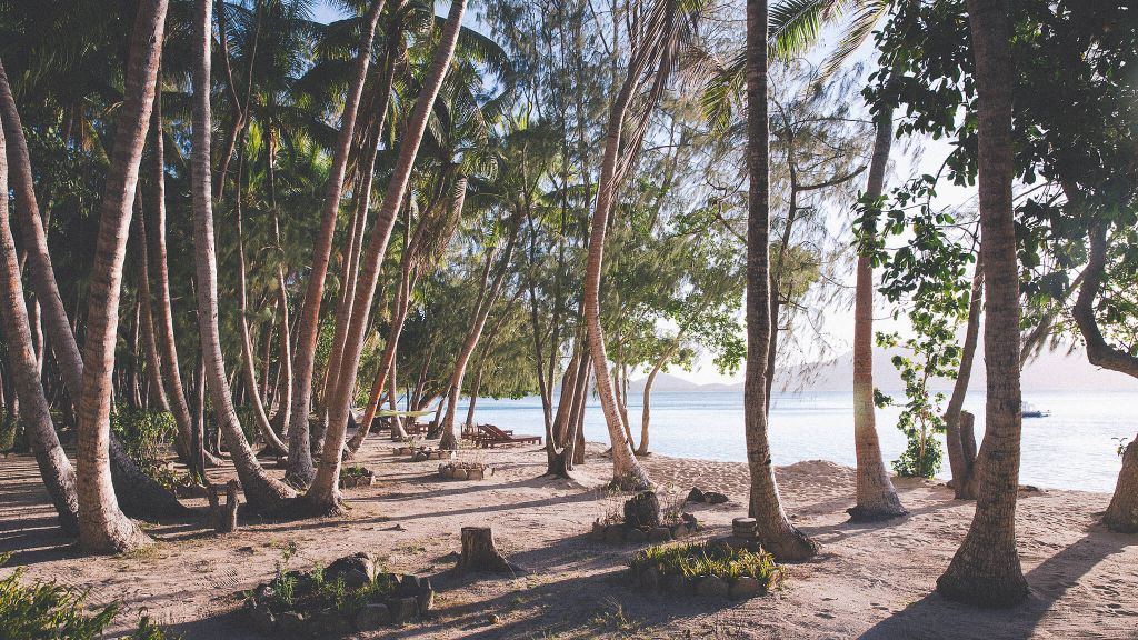 Turtle Island Fiji Turtle Island Fiji