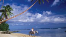 Horseback riding on the beach