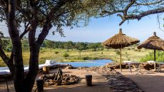 Outdoor pool with savannah views