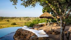 Outdoor pool with rocks and savannah views
