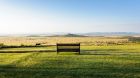 Bench with savannah views