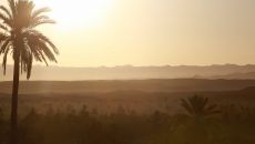 015 skoura Dar Ahlam