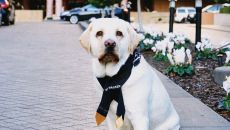 Mr Walker At Park Hyatt Melbourne Entrance