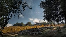 exterior fron vineyard at Clos Apalta Residence