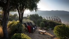 clos apalta vineyard Daniela Mac Adden at Clos Apalta Residence