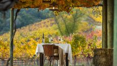 CASA PARRON MG 0713 at Clos Apalta Residence