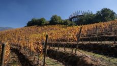 clos apalta 292 at Clos Apalta Residence