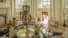 Arabica Four Seasons Hotel Doha