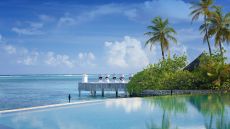  Pool  Island  Cocktails