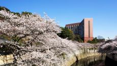 Hotel Exterior Spring
