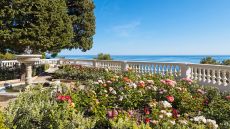 rose garden Cap Estel